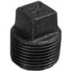 Picture of Cored-plug Square-head Black-malleable 1/"