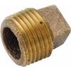 Picture of Pipe-Plug Cored-Plug 1"