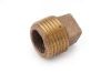 Picture of Pipe-Plug Cored-Plug 1"