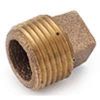 Picture of Pipe-Plug Cored-Plug 2"