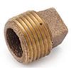 Picture of Pipe-Plug Cored-Plug 2"