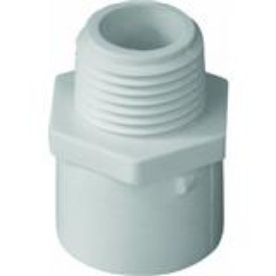 Picture of PVC-Plumbing Schedule-40 Reducing Male-Adapter MPT x S 3/4" x 1"