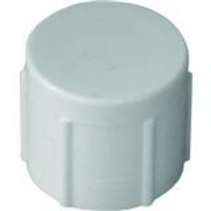 Picture of PVC-Plumbing Schedule-40 Cap FIP 1/2"
