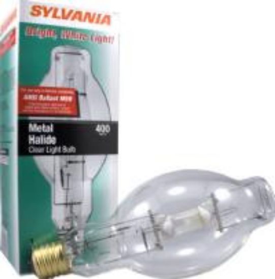 Picture of Clear Bulb