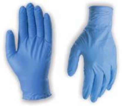 Picture of Disposable-Gloves Large 10/Pack