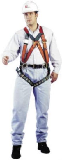 Picture of Pullover Harness/D-Ring