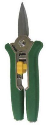 Picture of Floral-Shear Mini