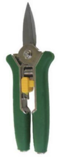 Picture of Floral-Shear Mini