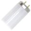 Picture of Light-Bulb T-12 Rapid Start 36"