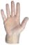 Picture of Examination Gloves-vinyl Lg (100)