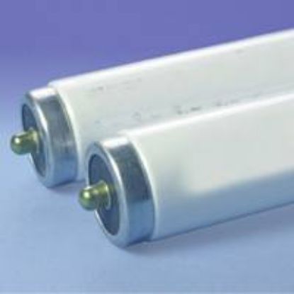 Picture of Light-Bulb 59W 96" MOL T-8 OCTRON 5000-k