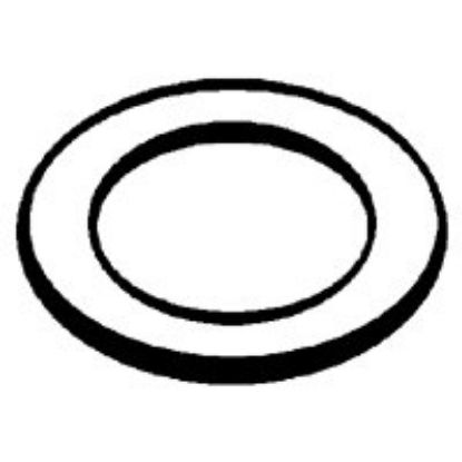 Picture of 1/2 Dielectric Union Washer