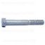 Picture of 5/16 X 3 Cap-Bolt Galvanized Steel