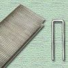 Picture of Finish Staple Bx5m