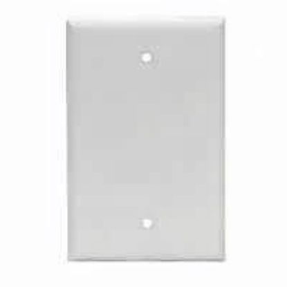 Picture of Wall-Plate Blank Jumbo