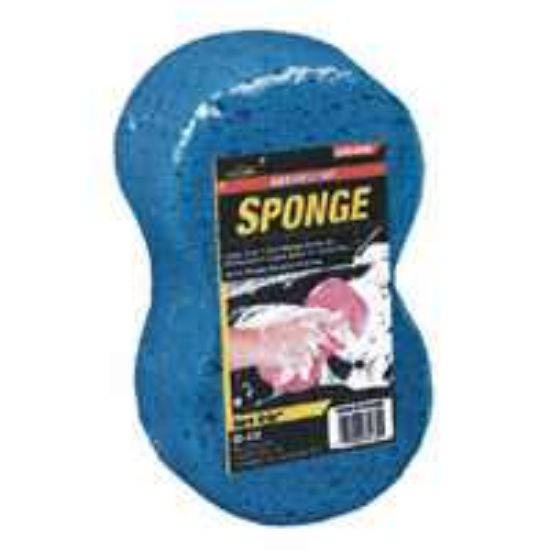 Picture of Bone-Sponge