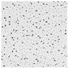 Picture of Ceiling-Tile Radar Acoustic 2' x 4' x 5/8"