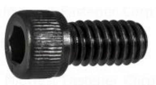 Picture of Machine-Screw Knurled-barrel Socket-cap 1/4"-20 X 1/2"
