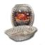 Picture of Roastpan Aluminum-foil With-rack Oval