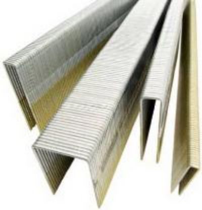 Picture of 1 PK 2" Galvanized Steel Staple