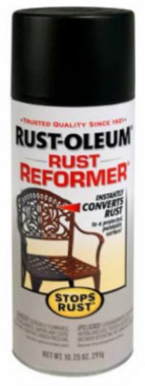 Picture of Rust Reform Enamel-Paint