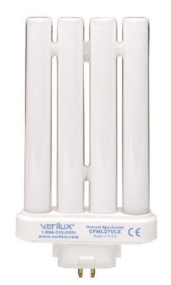 Picture of 27 Watt Natural Daylight Bulb