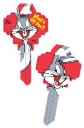 Picture of SC1 RED Bugs Key-Blank