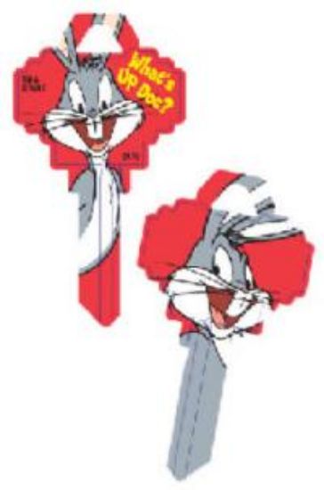 Picture of SC1 RED Bugs Key-Blank