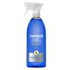 Picture of Mint Window Wash Cleaner