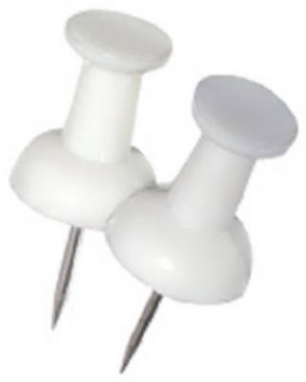 Picture of Push-Pin White
