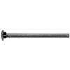 Picture of Carriage-Bolt Zinc-Plate 3/8"-16 x 6"