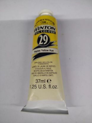 Picture of ­™Winton™ Artists-Oil-Paint Naples Yellow Hue