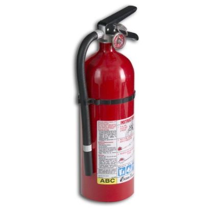 Picture of Fire-Extinguisher 2-A 10-BC