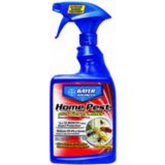 Picture of Home Pest Control