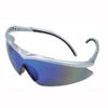Picture of EuroAdj115 Safety-Glasses
