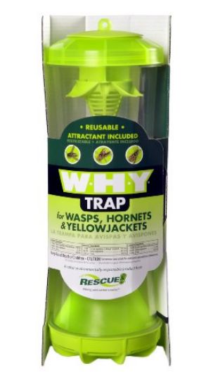 Picture of Why Wasp/hornet Trap
