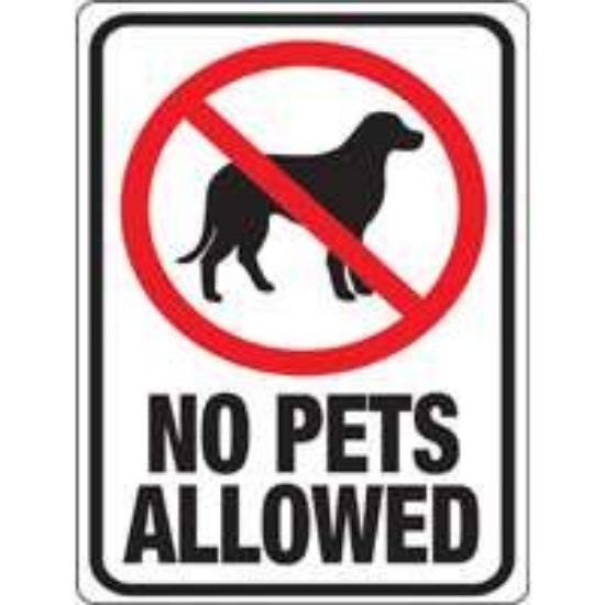 Picture of 9" x 12" Plastic No Pets Allowed