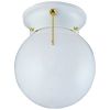 Picture of Light-Fixture Opal Glass Ceiling-Mount 1-Bulb 6"