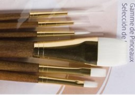 Picture of White Taklon Brush Set 6-Piece (Round 302 Liner 1 Shader 4 & 6 Wash 3 & 4)