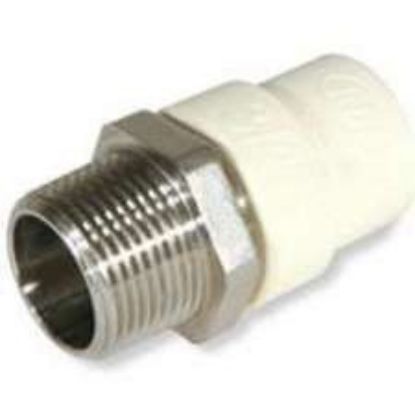 Picture of CPVC to Stainless-Steel Male Pipe Thread Transition Adapter 1/2"