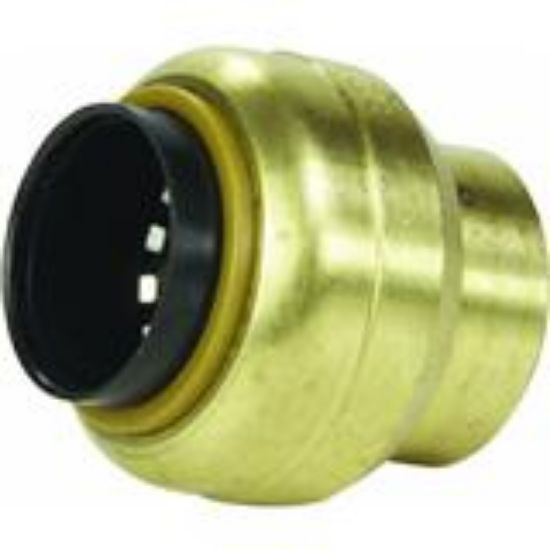 Picture of ™Sharkbite™ End Stop 3/4" Material