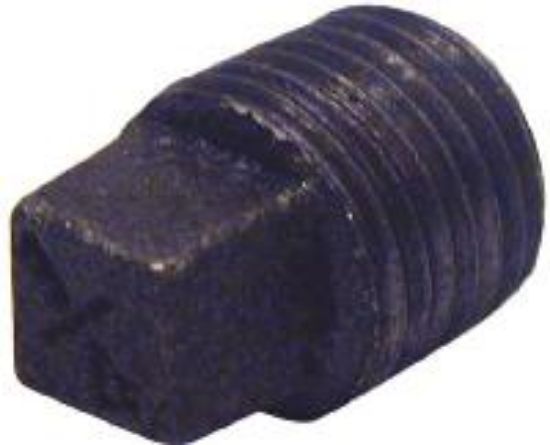 Picture of Cored-Plug Malleable-iron 2"