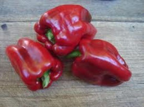 Picture of Sweet Pepper Seet Ruby Hybrid Spanish