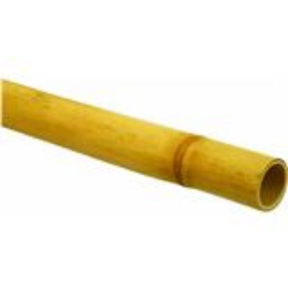 Picture of Bamboo 1-1/8" 1-3/8"