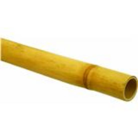 Picture of Bamboo 1-3/4" 3"