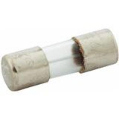 Picture of SFE FUSE Assortment