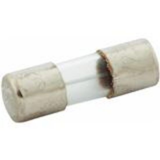 Picture of SFE FUSE Assortment