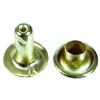 Picture of Large Brass-Plated Rivet