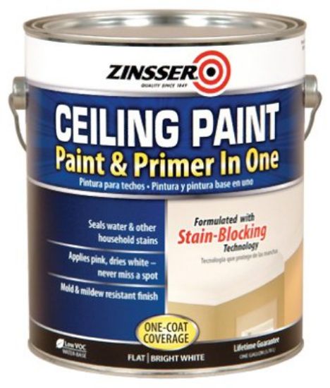 Picture of Ceiling-Paint
