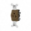 Picture of Single-Receptacle 20-Amp 125-Volt Double-Pole 3-Wire Grounding Brown